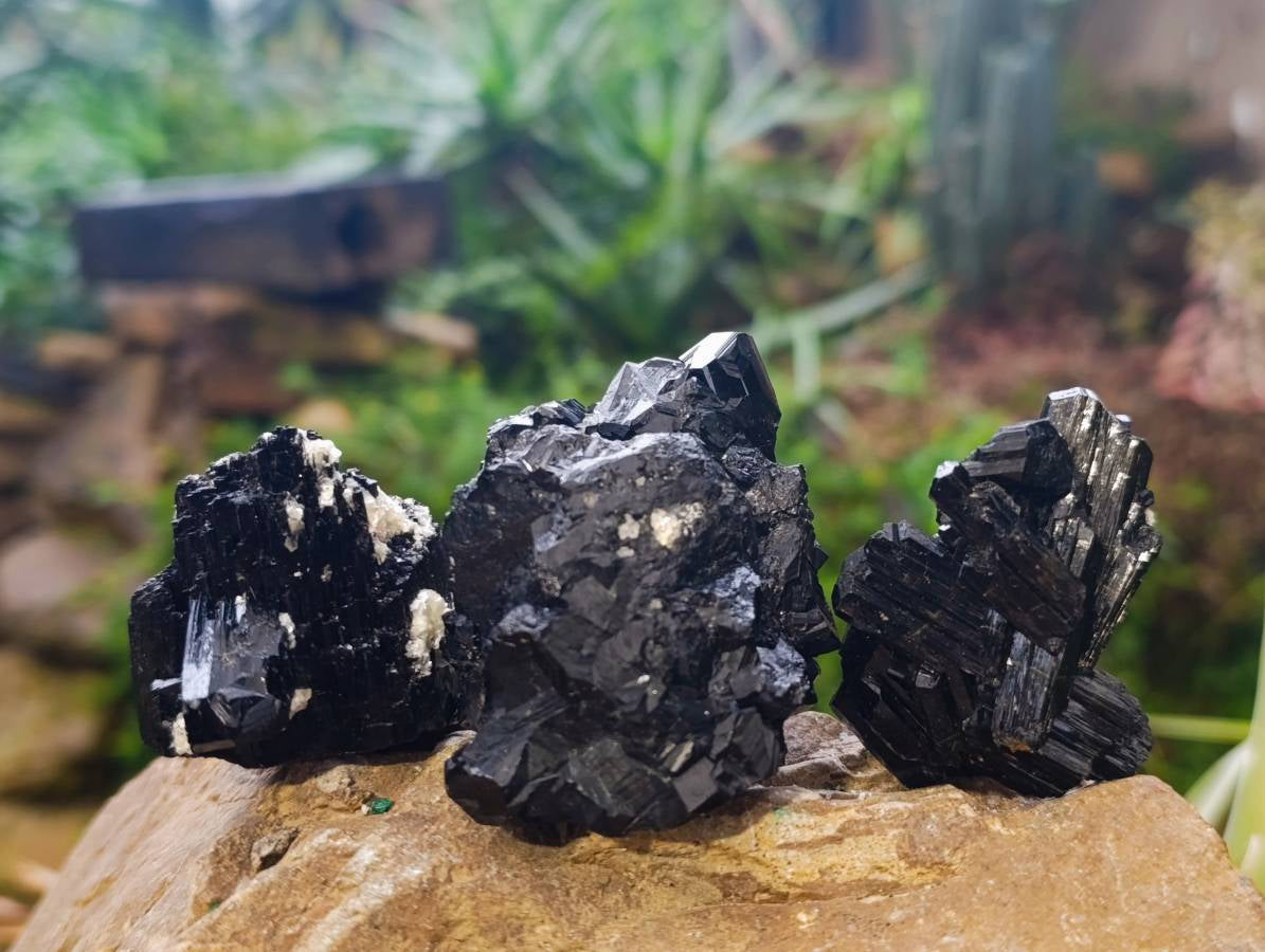 Natural Schorl Black Tourmaline Specimens x 12 From Erongo, Namibia - Toprock Gemstones and Minerals 