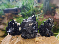 Natural Schorl Black Tourmaline Specimens x 12 From Erongo, Namibia