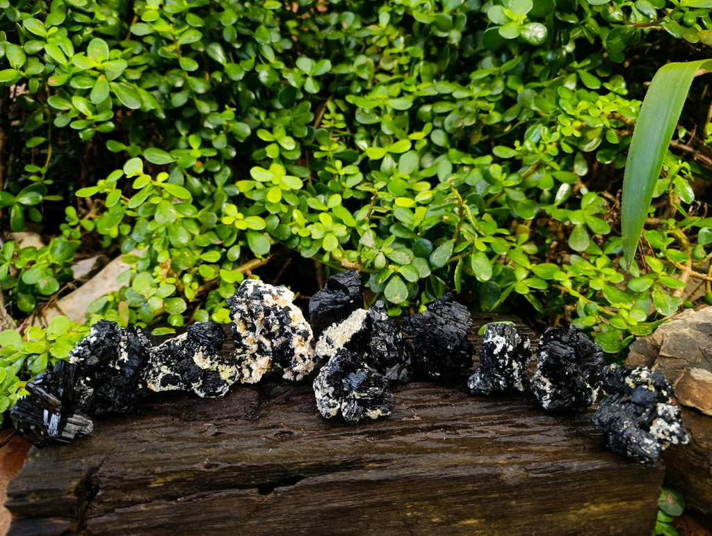 Natural Schorl Black Tourmaline Specimens x 12 From Erongo, Namibia - Toprock Gemstones and Minerals 
