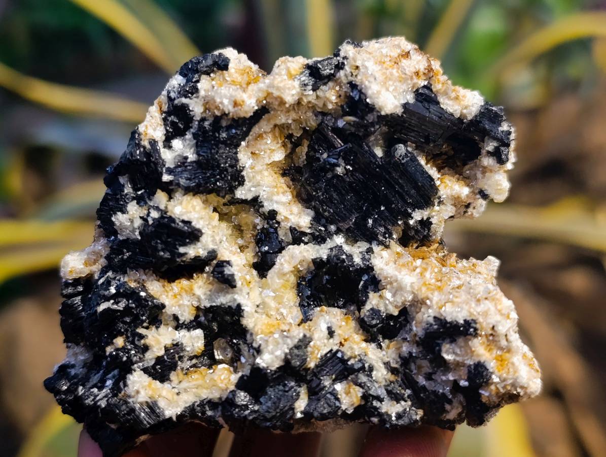 Natural Schorl Black Tourmaline Specimens x 12 From Erongo, Namibia - Toprock Gemstones and Minerals 