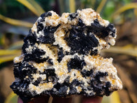Natural Schorl Black Tourmaline Specimens x 12 From Erongo, Namibia