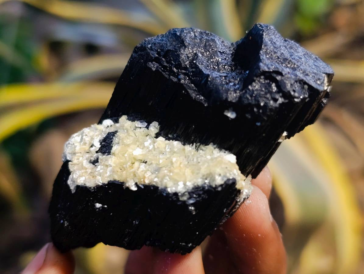 Natural Schorl Black Tourmaline Specimens x 12 From Erongo, Namibia - Toprock Gemstones and Minerals 
