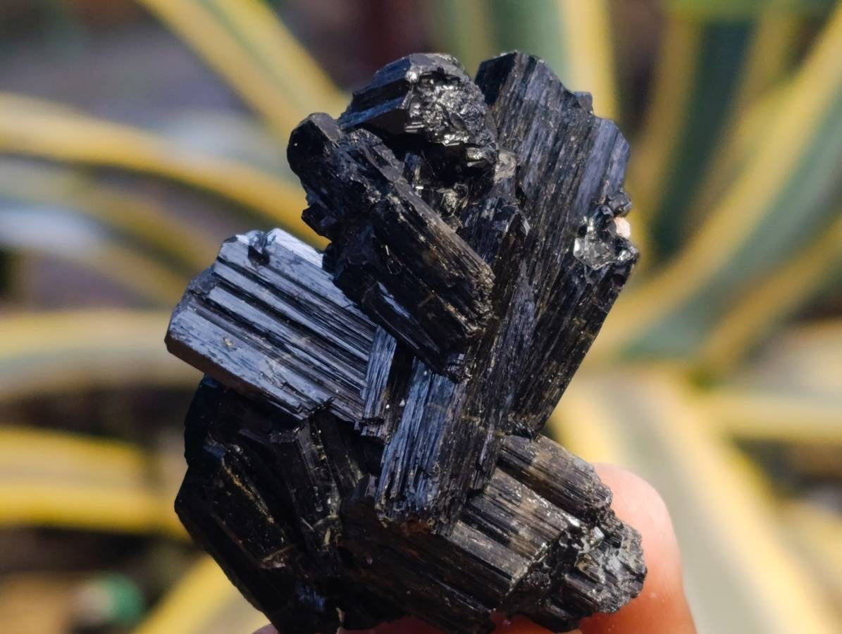 Natural Schorl Black Tourmaline Specimens x 12 From Erongo, Namibia - Toprock Gemstones and Minerals 
