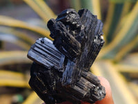Natural Schorl Black Tourmaline Specimens x 12 From Erongo, Namibia