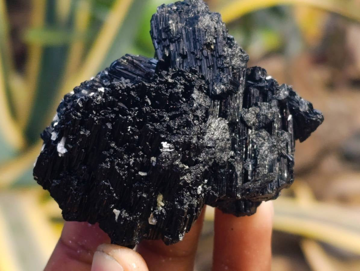 Natural Schorl Black Tourmaline Specimens x 12 From Erongo, Namibia - Toprock Gemstones and Minerals 