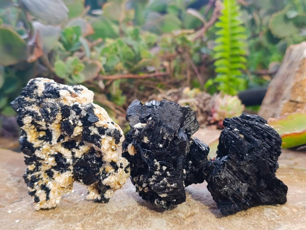 Natural Schorl Black Tourmaline Specimens x 12 From Erongo, Namibia - Toprock Gemstones and Minerals 