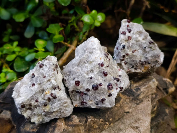 Natural Pyrope Garnet Crystals in Quartz Feldspar Matrix x 24 From Namibia