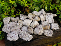 Natural Pyrope Garnet Crystals in Quartz Feldspar Matrix x 24 From Namibia