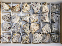 Natural Pyrope Garnet Crystals in Quartz Feldspar Matrix x 24 From Namibia