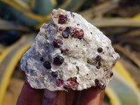 Natural Pyrope Garnet Crystals in Quartz Feldspar Matrix x 24 From Namibia