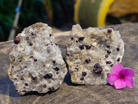 Natural Pyrope Garnet Crystals in Quartz Feldspar Matrix x 24 From Namibia