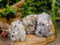 Natural Pyrope Garnet Crystals in Quartz Feldspar Matrix x 24 From Namibia