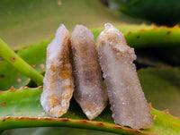 Natural Amethyst Spirit Quartz Specimens x 15 From Boekenhouthoek, South Africa