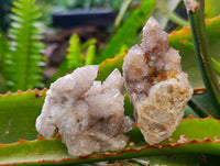 Natural Amethyst Spirit Quartz Specimens x 15 From Boekenhouthoek, South Africa