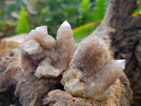 Natural Amethyst Spirit Quartz Specimens x 15 From Boekenhouthoek, South Africa