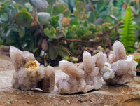 Natural Amethyst Spirit Quartz Specimens x 15 From Boekenhouthoek, South Africa