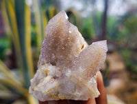 Natural Amethyst Spirit Quartz Specimens x 15 From Boekenhouthoek, South Africa
