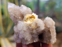 Natural Amethyst Spirit Quartz Specimens x 15 From Boekenhouthoek, South Africa