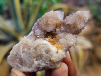 Natural Amethyst Spirit Quartz Specimens x 15 From Boekenhouthoek, South Africa