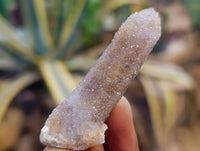 Natural Amethyst Spirit Quartz Specimens x 15 From Boekenhouthoek, South Africa