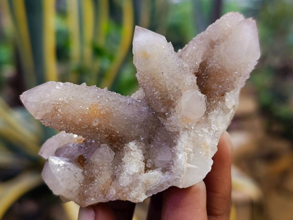 Natural Amethyst Spirit Quartz Specimens x 15 From Boekenhouthoek, South Africa