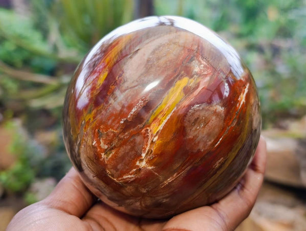 Polished Fossilized Podocarpus Petrified Wood Sphere x 1 From Mahajanga, Madagascar