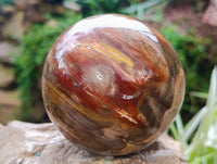 Polished Fossilized Podocarpus Petrified Wood Sphere x 1 From Mahajanga, Madagascar