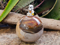 Polished Fossilized Podocarpus Petrified Wood Sphere x 1 From Mahajanga, Madagascar