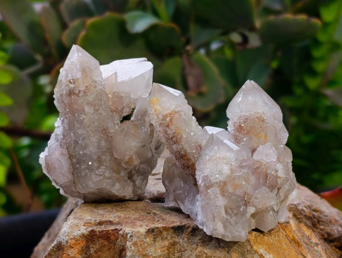Natural Golden Limonite Coated Spirit Quartz Clusters x 35 From Boekenhouthoek, South Africa - Toprock Gemstones and Minerals 