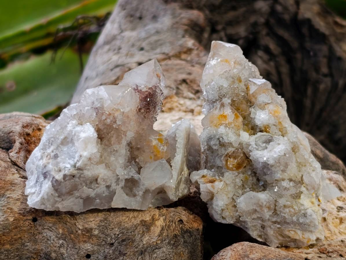Natural Golden Limonite Coated Spirit Quartz Clusters x 35 From Boekenhouthoek, South Africa - Toprock Gemstones and Minerals 