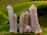 Natural Golden Limonite Coated Spirit Quartz Clusters x 35 From Boekenhouthoek, South Africa