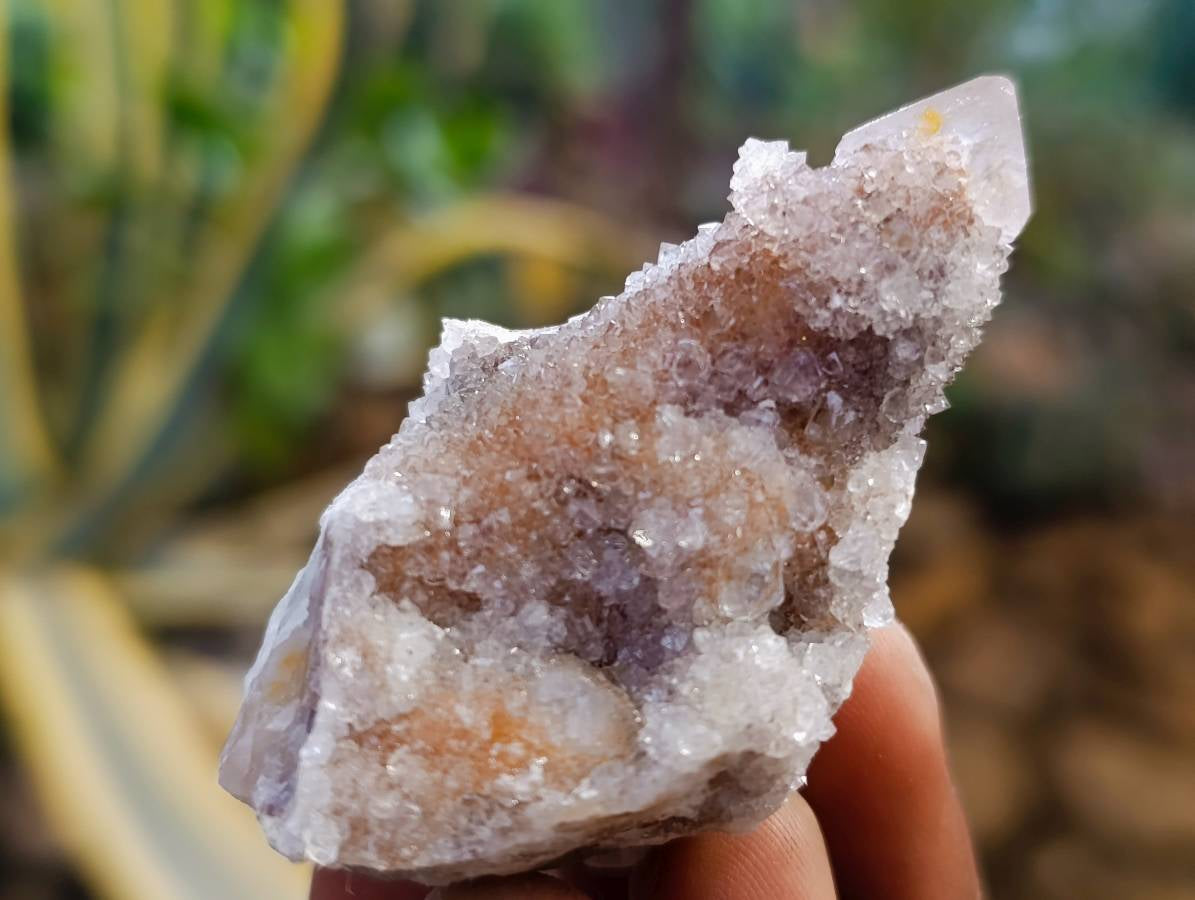 Natural Golden Limonite Coated Spirit Quartz Clusters x 35 From Boekenhouthoek, South Africa - Toprock Gemstones and Minerals 