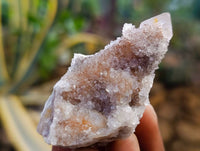 Natural Golden Limonite Coated Spirit Quartz Clusters x 35 From Boekenhouthoek, South Africa