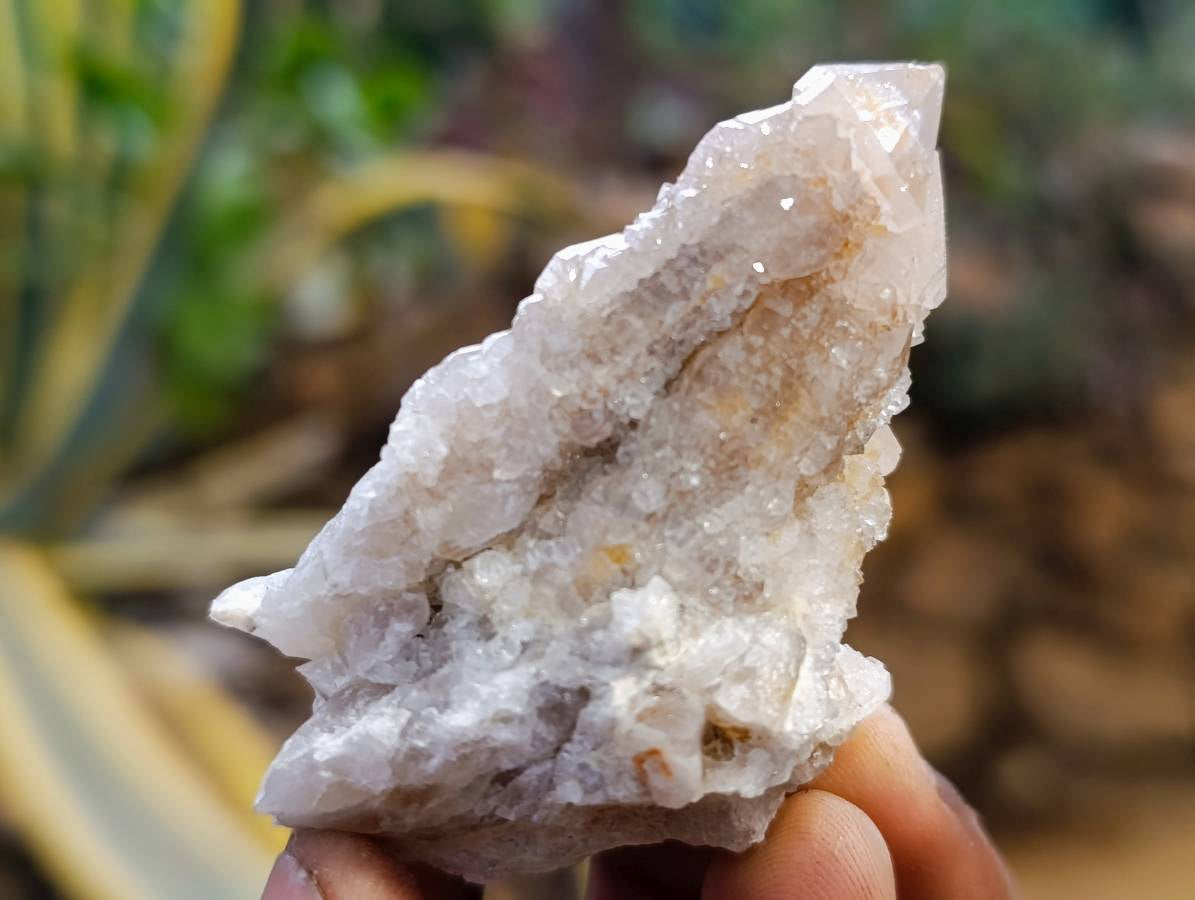 Natural Golden Limonite Coated Spirit Quartz Clusters x 35 From Boekenhouthoek, South Africa - Toprock Gemstones and Minerals 