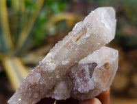Natural Golden Limonite Coated Spirit Quartz Clusters x 35 From Boekenhouthoek, South Africa