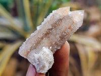 Natural Golden Limonite Coated Spirit Quartz Clusters x 35 From Boekenhouthoek, South Africa