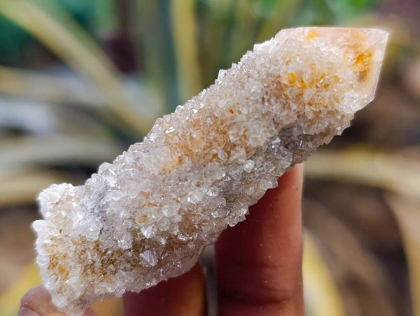 Natural Golden Limonite Coated Spirit Quartz Clusters x 35 From Boekenhouthoek, South Africa