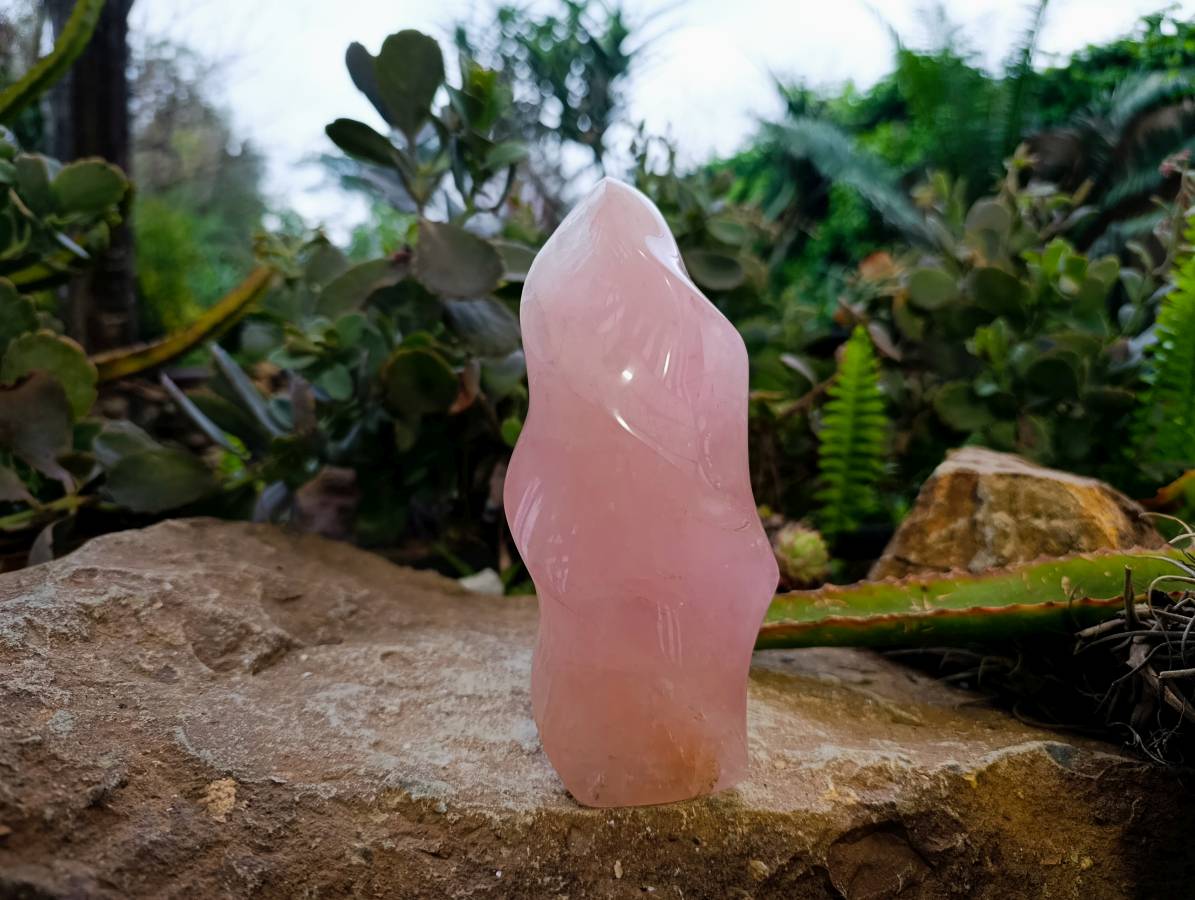 Polished Rose Quartz Flames x 2 Madagascar - Toprock Gemstones and Minerals 