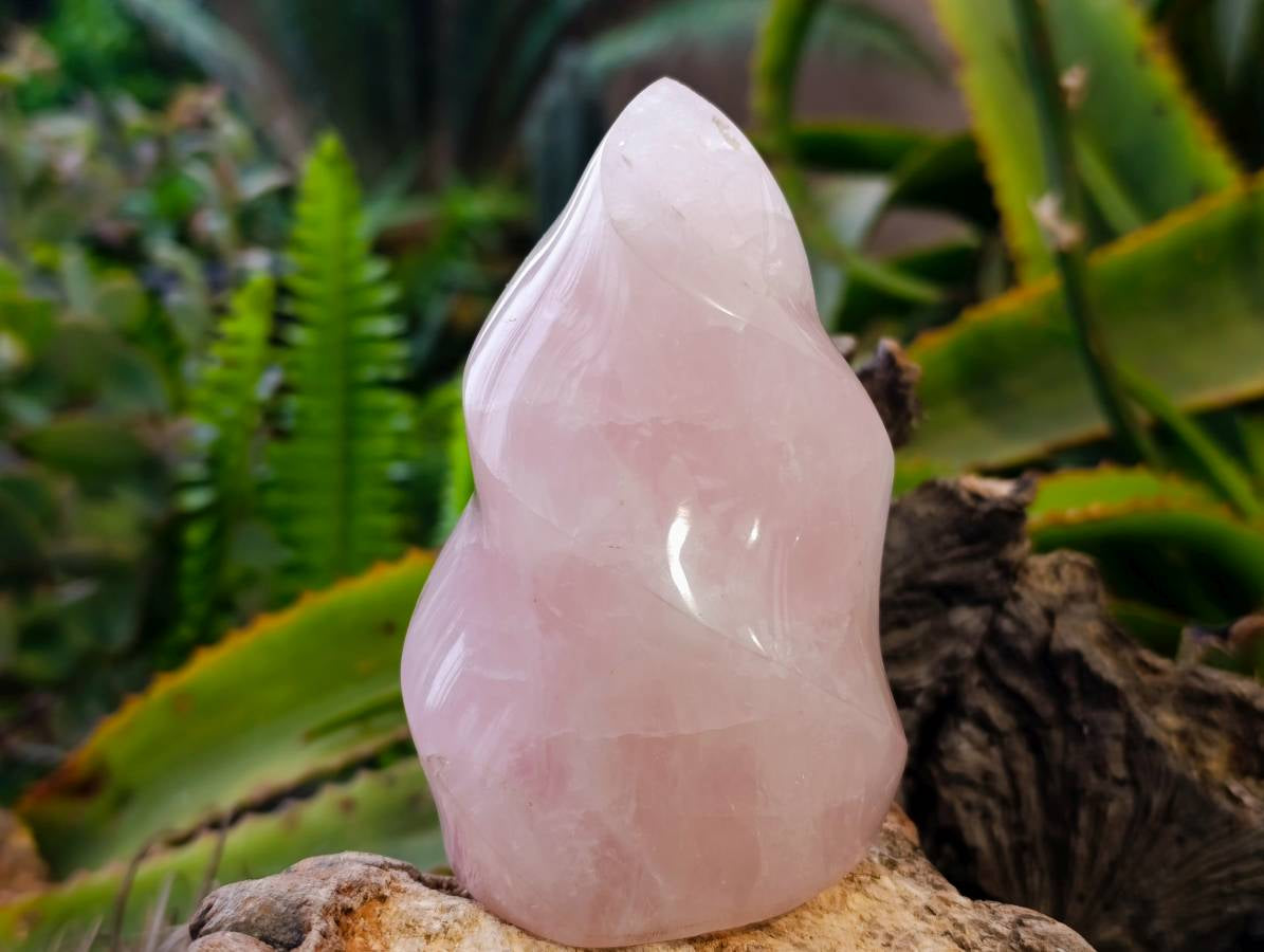 Polished Rose Quartz Flames x 2 Madagascar - Toprock Gemstones and Minerals 