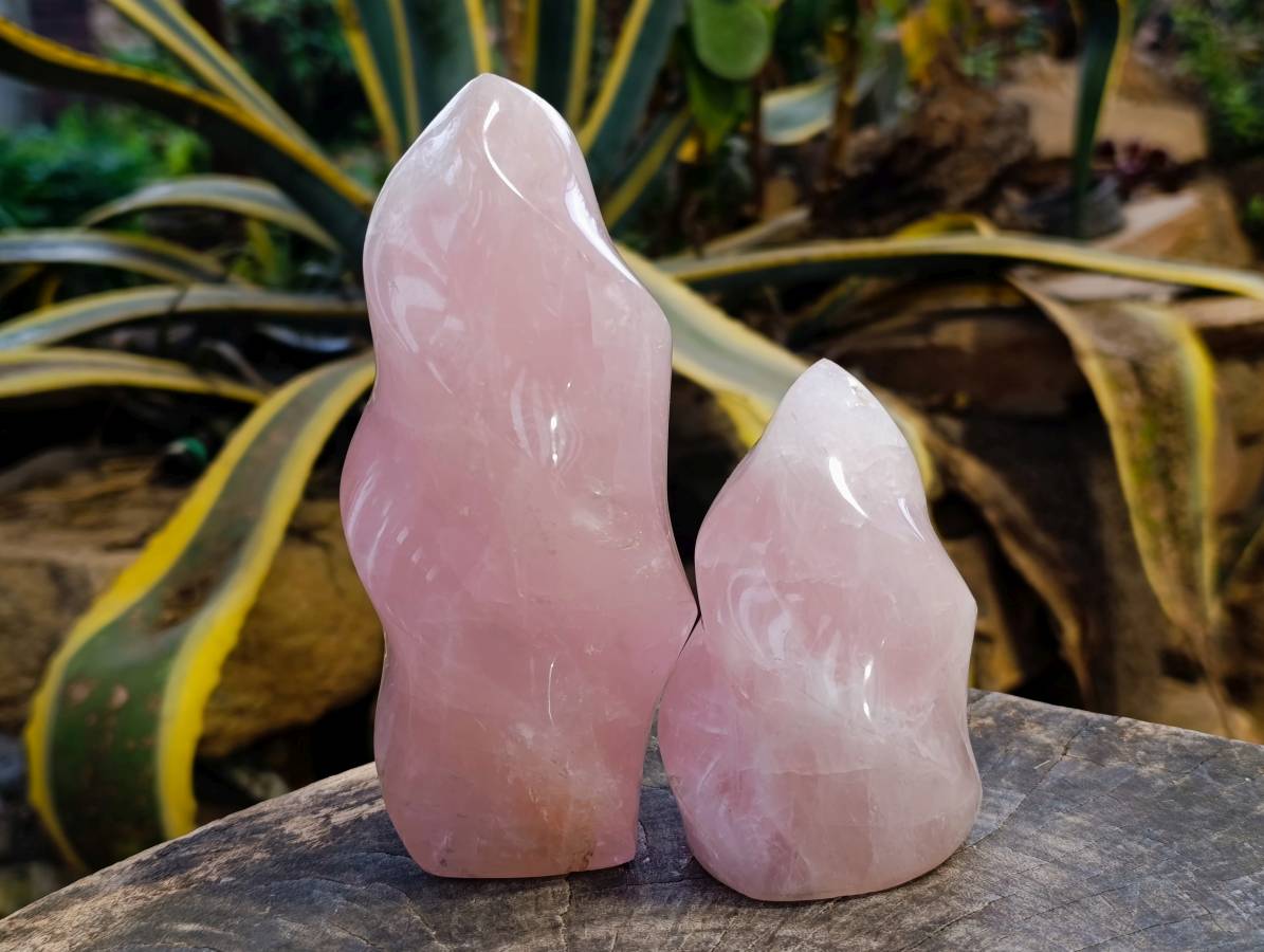 Polished Rose Quartz Flames x 2 Madagascar - Toprock Gemstones and Minerals 