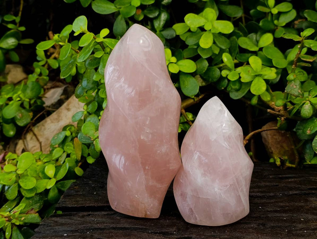 Polished Rose Quartz Flames x 2 Madagascar - Toprock Gemstones and Minerals 