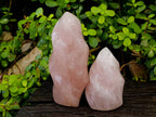 Polished Rose Quartz Flames x 2 Madagascar - Toprock Gemstones and Minerals 