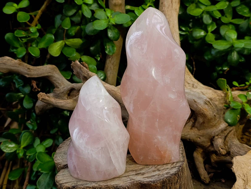 Polished Rose Quartz Flames x 2 Madagascar - Toprock Gemstones and Minerals 