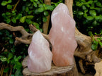 Polished Rose Quartz Flames x 2 Madagascar - Toprock Gemstones and Minerals 