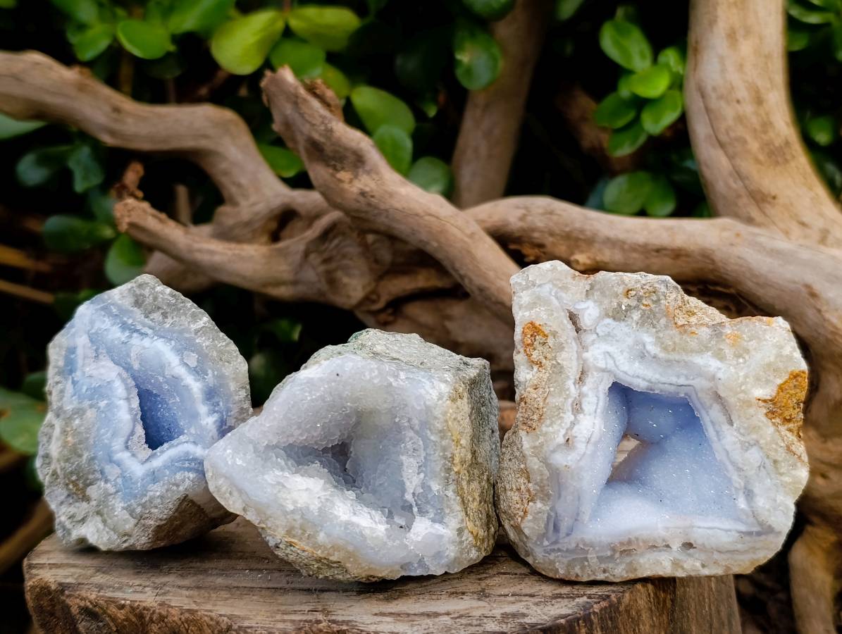 Natural Blue Lace Agate Geode Specimens x 12 From Nsanje, Malawi - Toprock Gemstones and Minerals 
