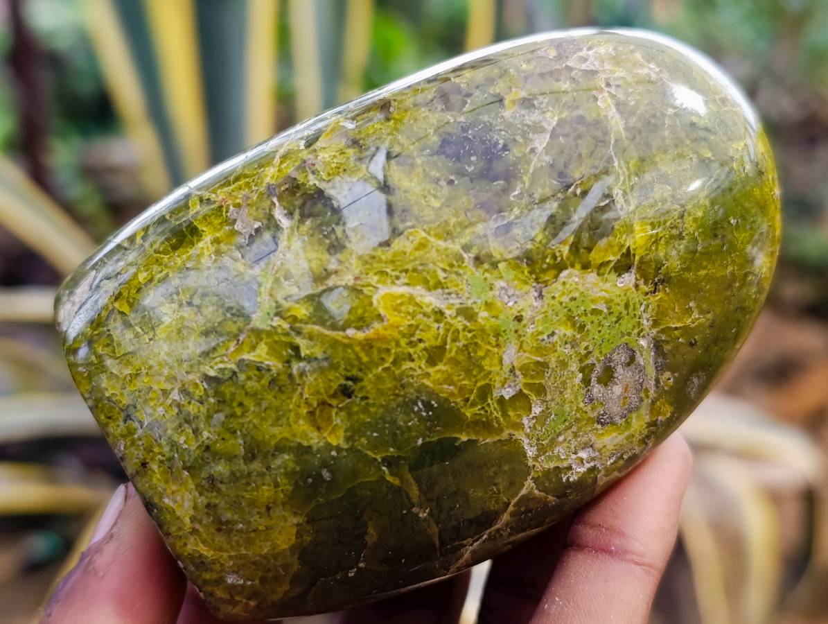 Polished Green Opal Standing Free Forms x 3 From Madagascar - Toprock Gemstones and Minerals 