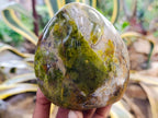 Polished Green Opal Standing Free Forms x 3 From Madagascar - Toprock Gemstones and Minerals 