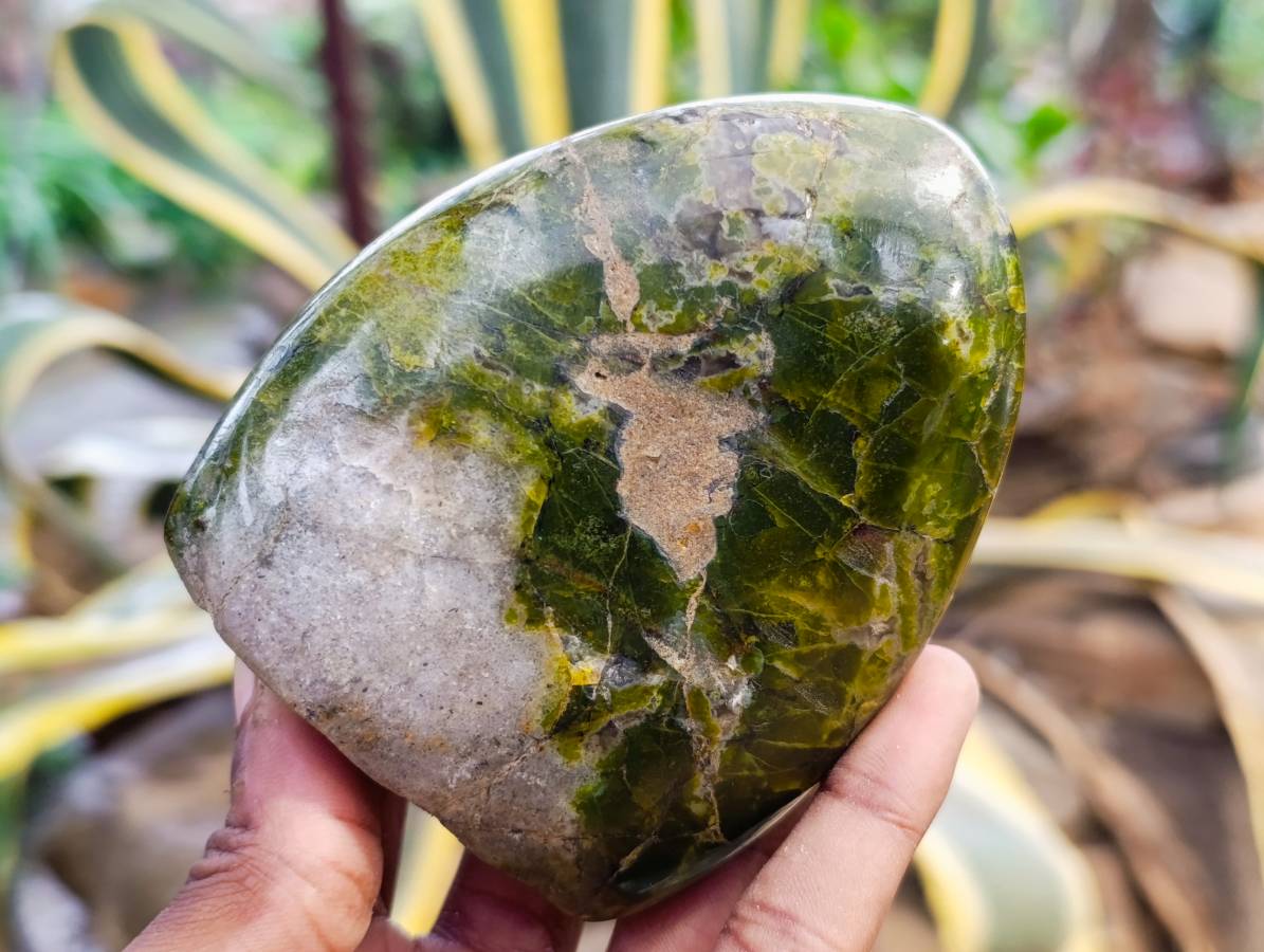Polished Green Opal Standing Free Forms x 3 From Madagascar - Toprock Gemstones and Minerals 