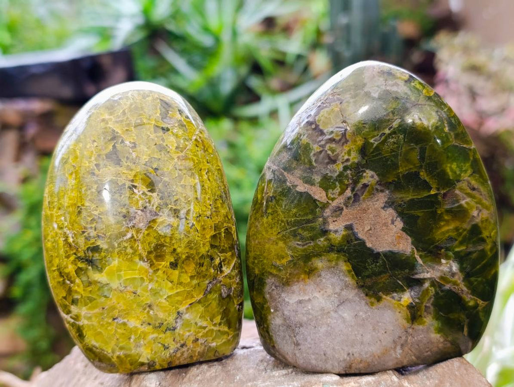 Polished Green Opal Standing Free Forms x 3 From Madagascar - Toprock Gemstones and Minerals 