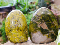 Polished Green Opal Standing Free Forms x 3 From Madagascar - Toprock Gemstones and Minerals 